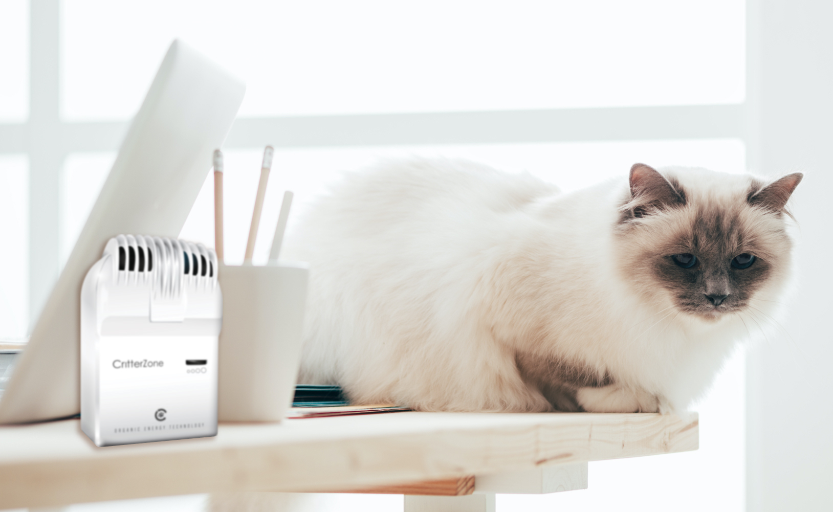 A siamese cat sitting on desk near a CritterZone unit.