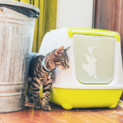 Air Purifier for Pets - Pet Odor Eliminator - cat litter box