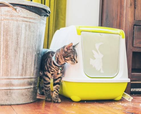 Air Purifier for Pets - Pet Odor Eliminator - cat litter box