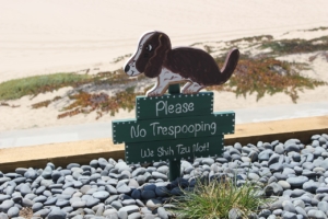 "Please no trespooping We Shih Tzu Not!" sign in rocks with a beach in the background