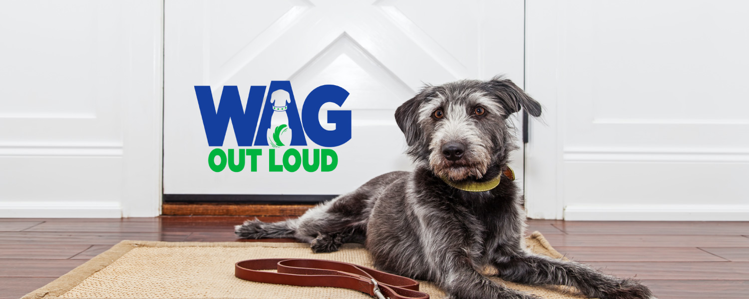 Air Purifier for Pets - Pet Odor Eliminator - Wag Out Loud