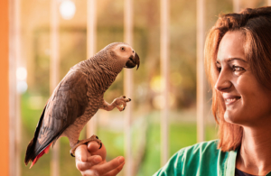 Air Purifier for Pets - Pet Odor Eliminator - train parrot