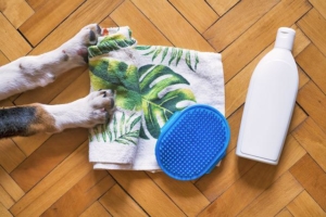 Air Purifier for Pets - Pet Odor Eliminator - dog bath