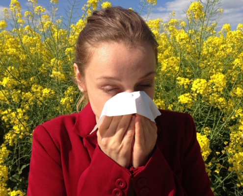 pet air purifier - critterzone - allergies