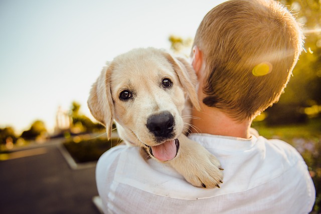 pet air purifier - critterzone - hug your dog